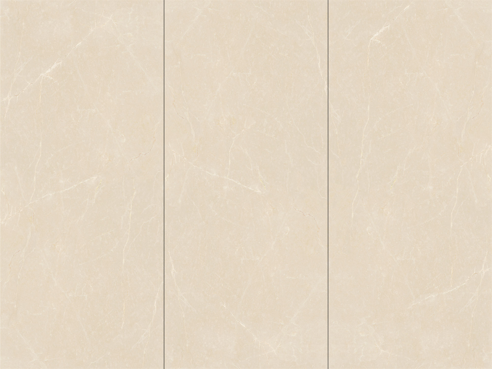 EY1227P103白玉蘭.jpg